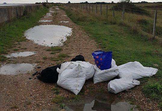 Flytip - St Mary in the Marsh (4408141)