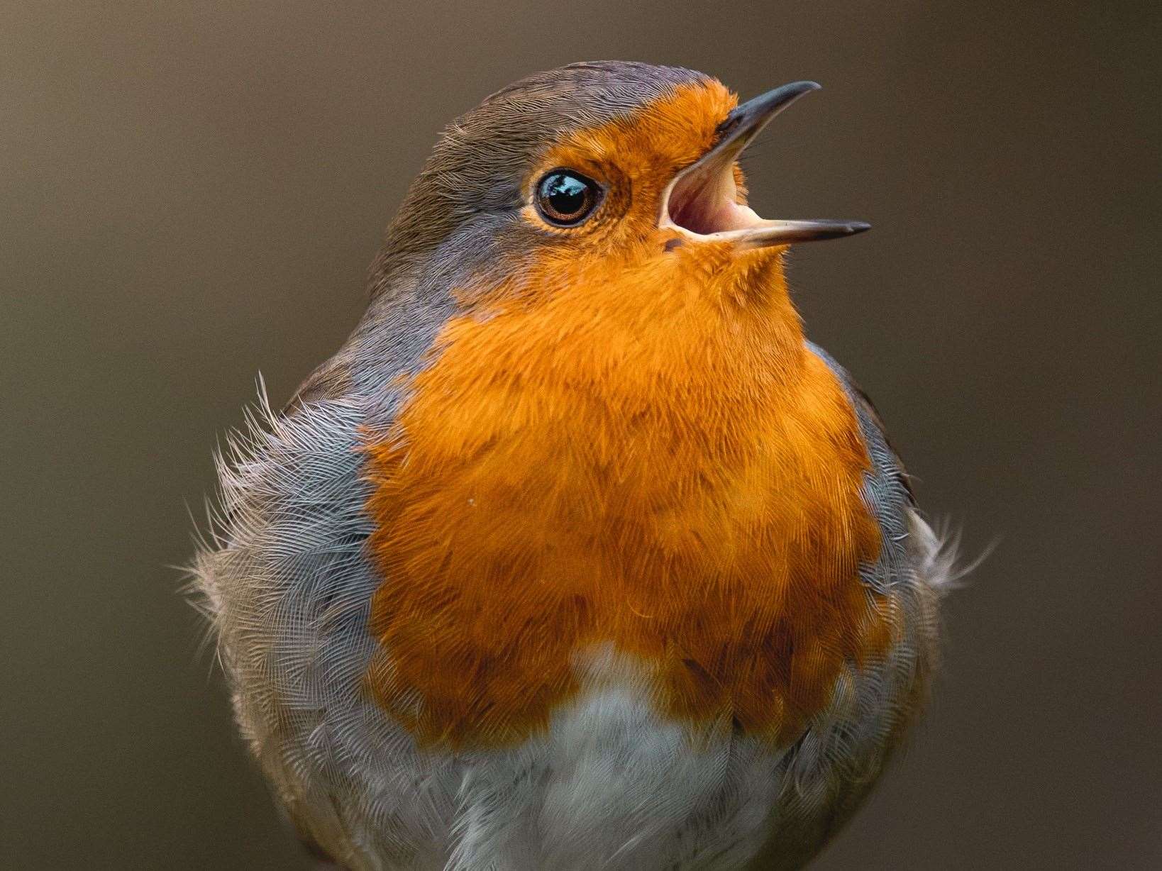 Miss Read is building an impressive portfolio of wildlife photography