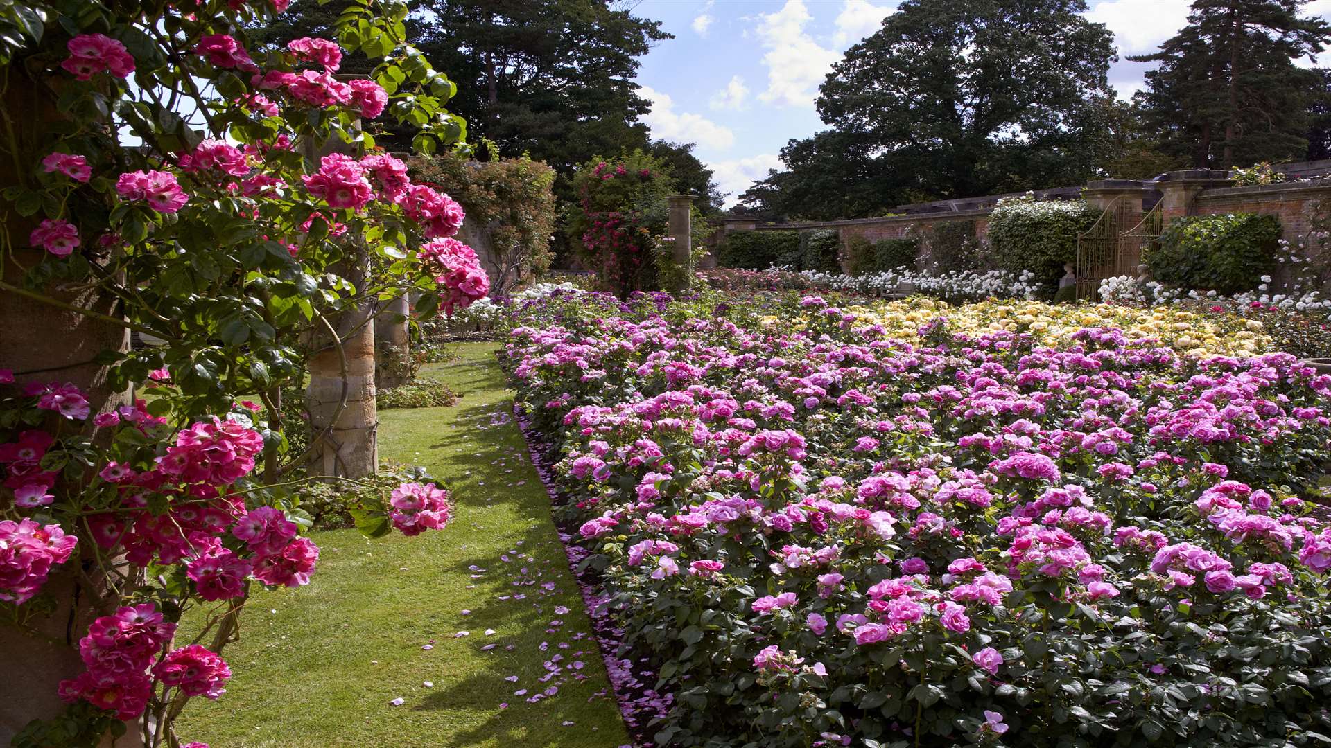 Visitors will be given a tour around the castle's grounds