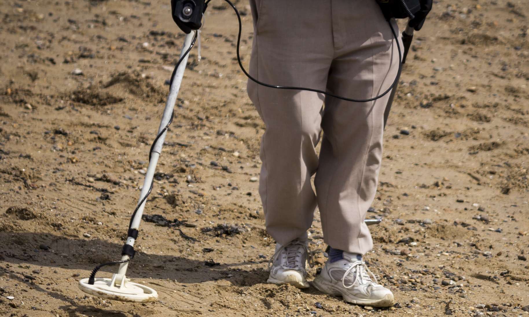 The oyster company has accused detectorists of 'stealing' finds from the beach.