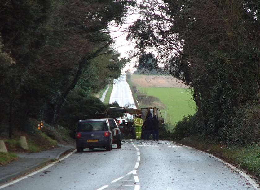 A fallen tree on the A258 Deal to Dover Road