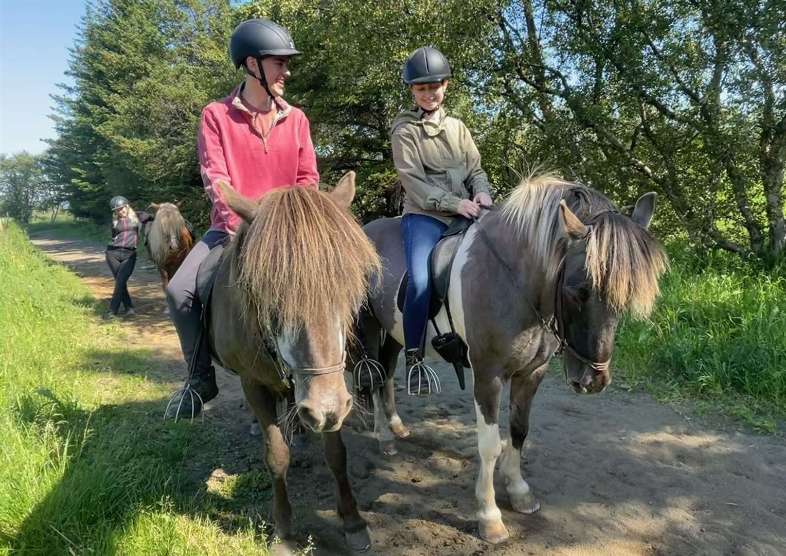 We rode beautiful Icelandic ponies in Akureyri