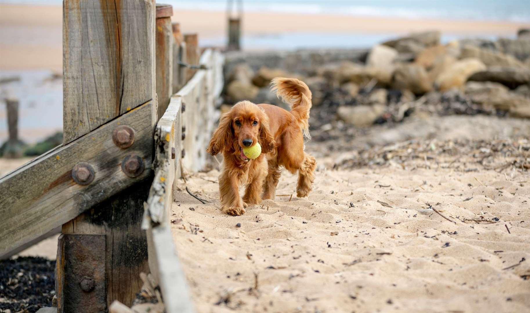 From May 1 restrictions will change in some parts of Kent. Image: iStock.