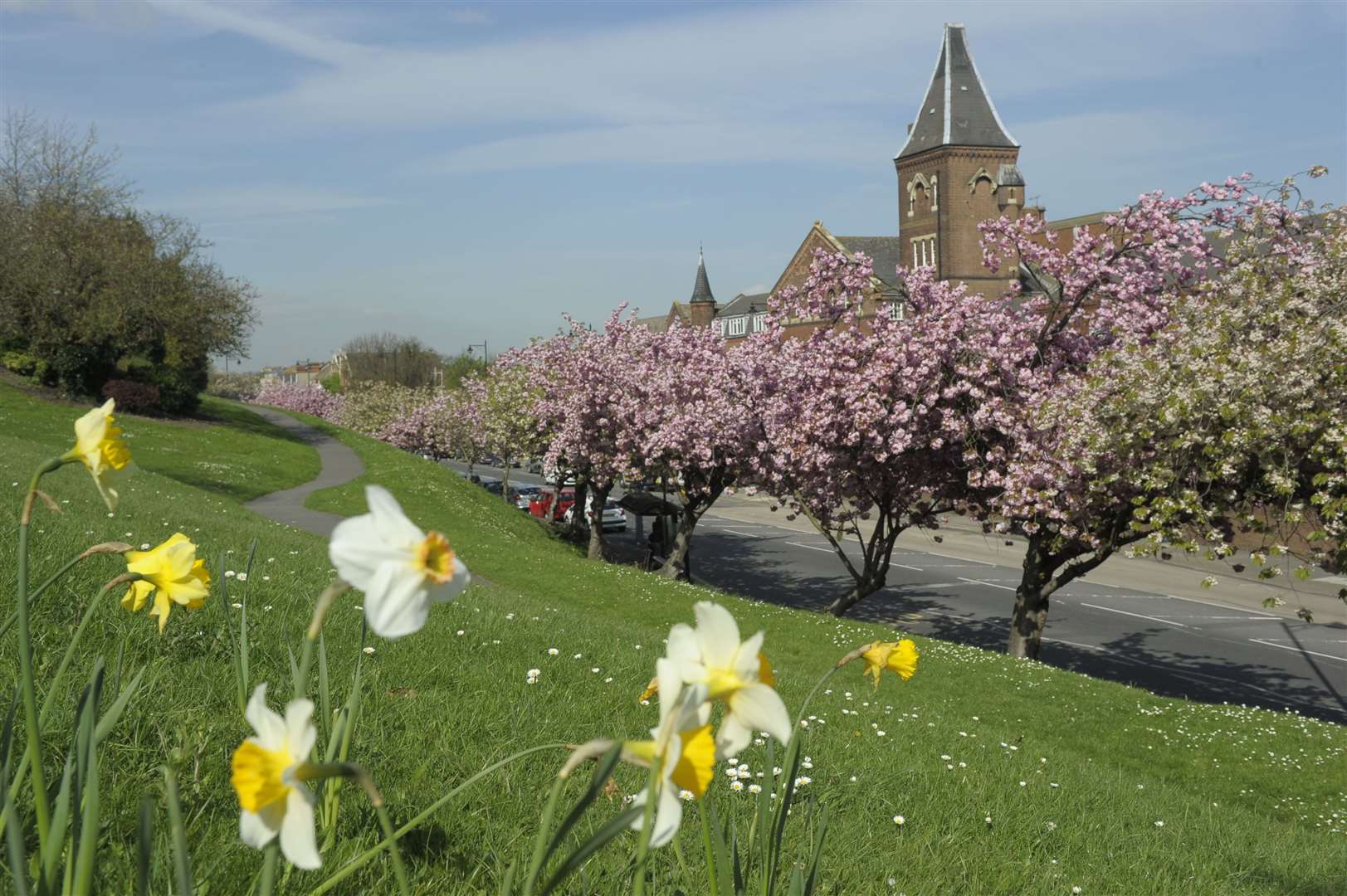 The National Trust says a damp March has allowed nature to slow down. Image: iStock.