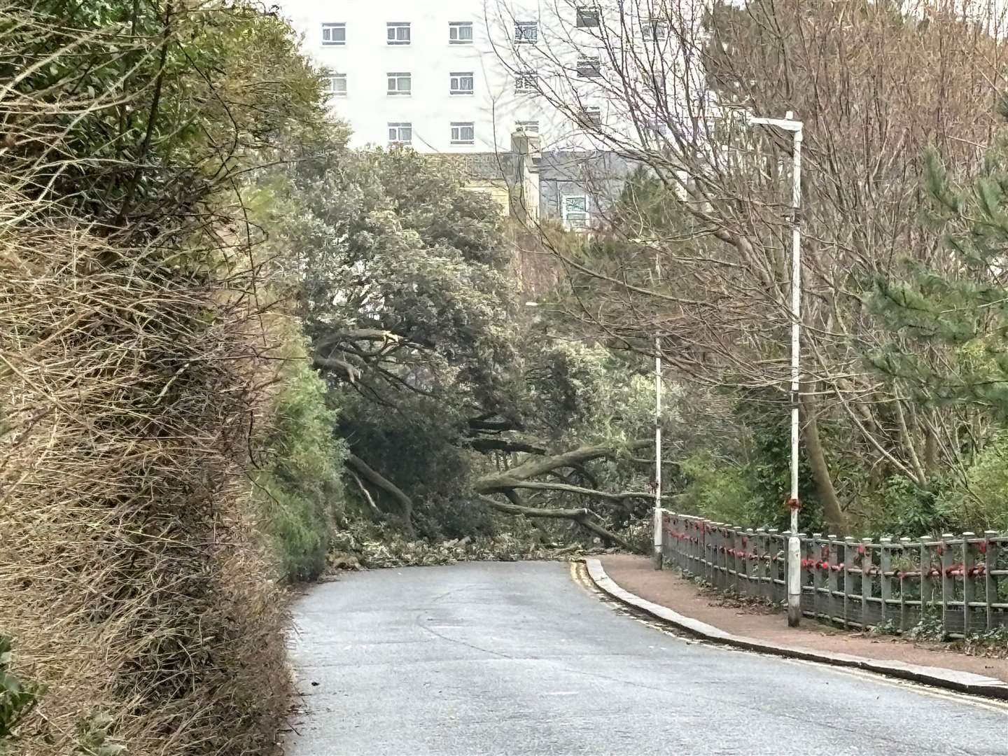 Road of Remembrance suffered its first landslide in January. Picture: Joe Harbert