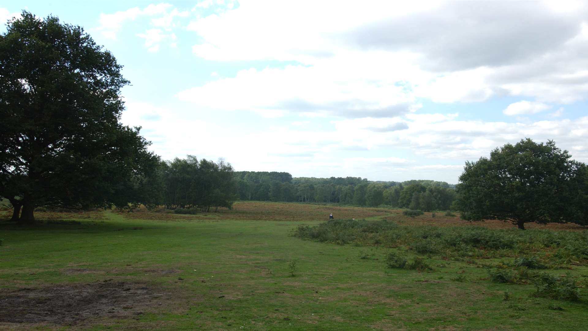 Mr Ashley's body was found on Hothfield Common