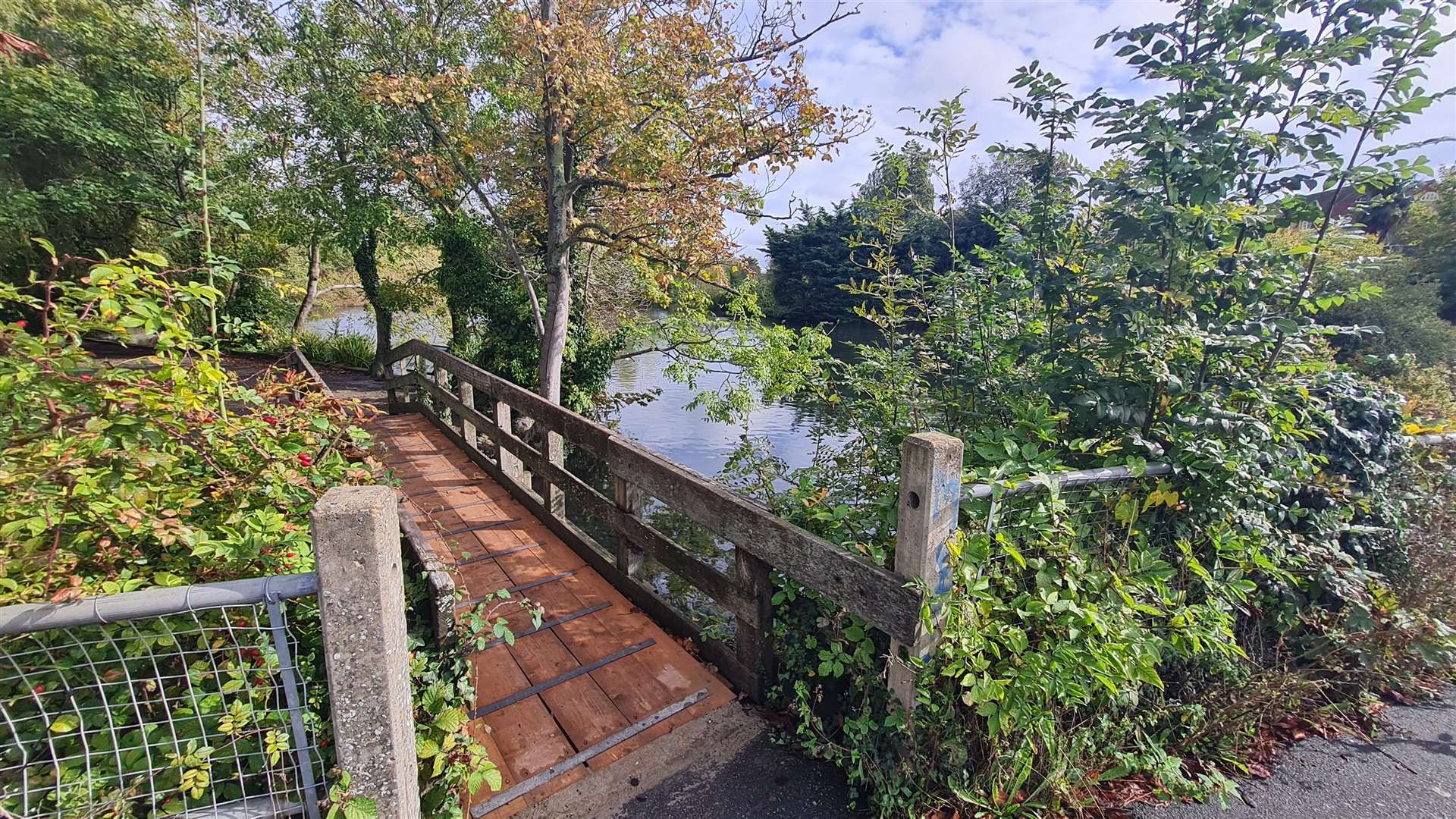 Faversham's picturesque Stonebridge Pond