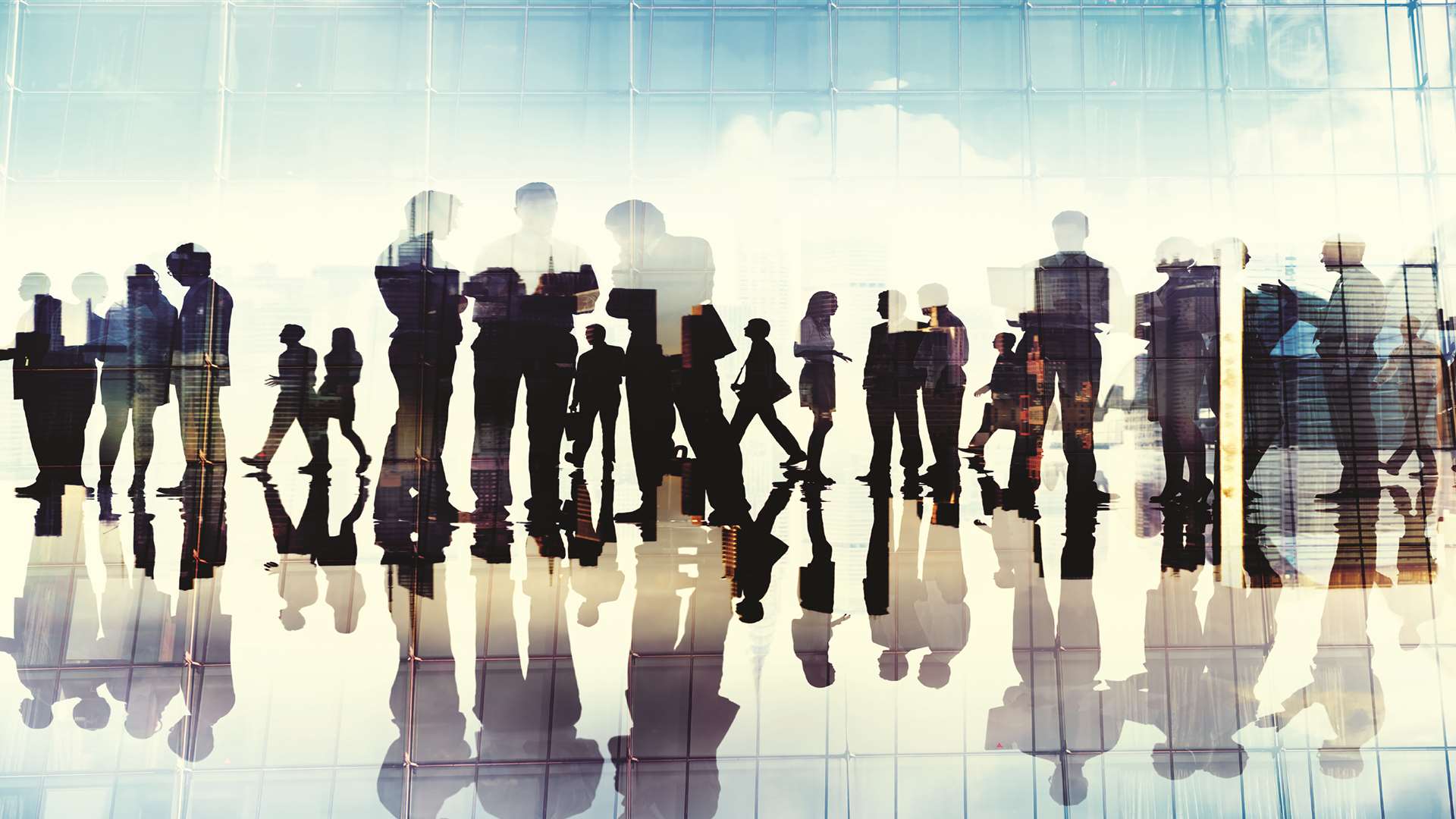 Silhouettes of business people working in an office