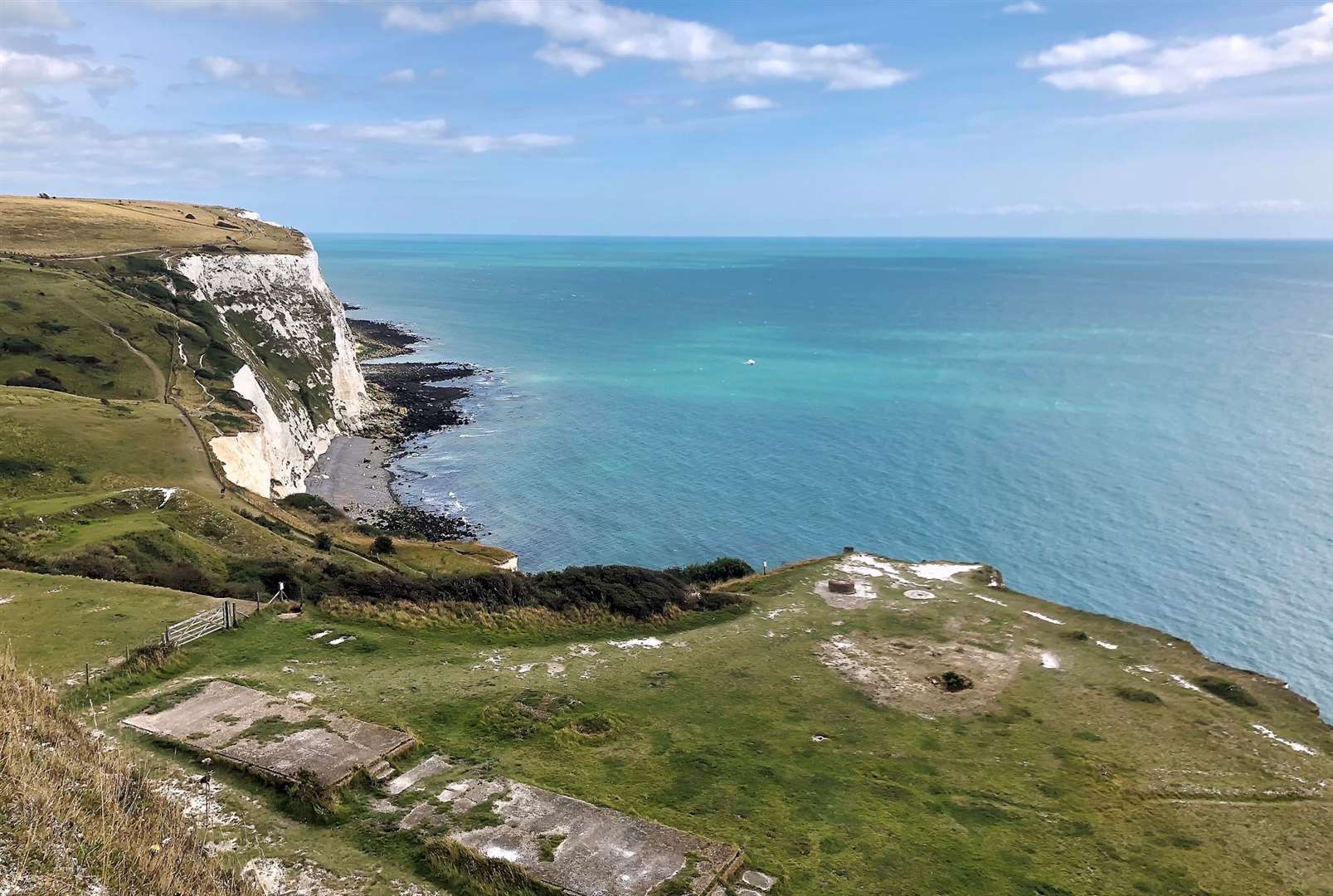 The project to reestablish red-billed chough at the White Cliffs of Dover has secured funding