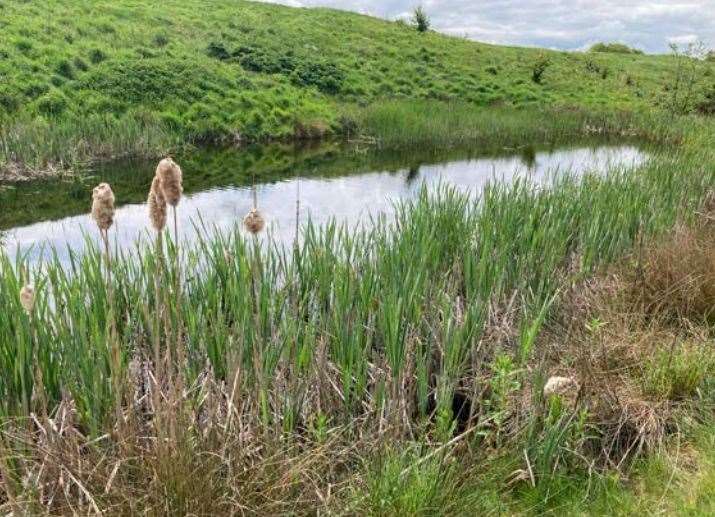 Deangate Ridge Pond