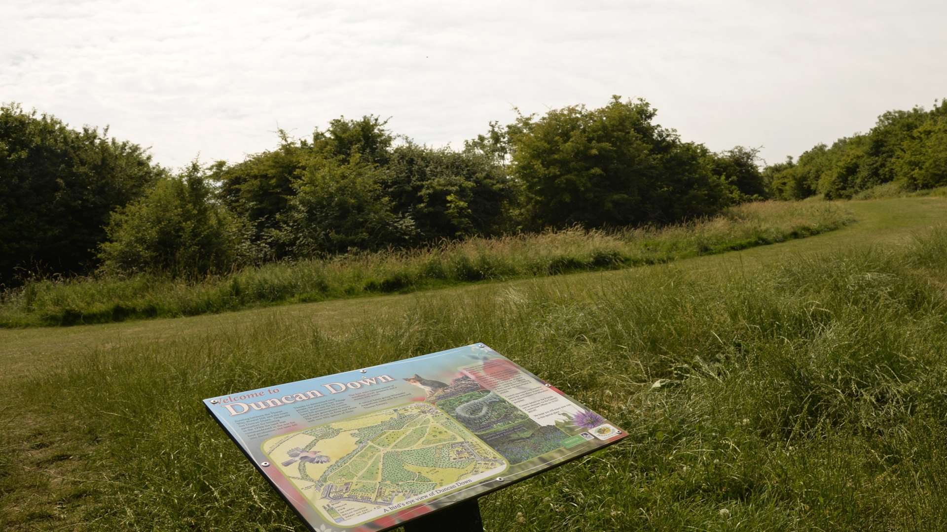 Duncan Down a protected village green