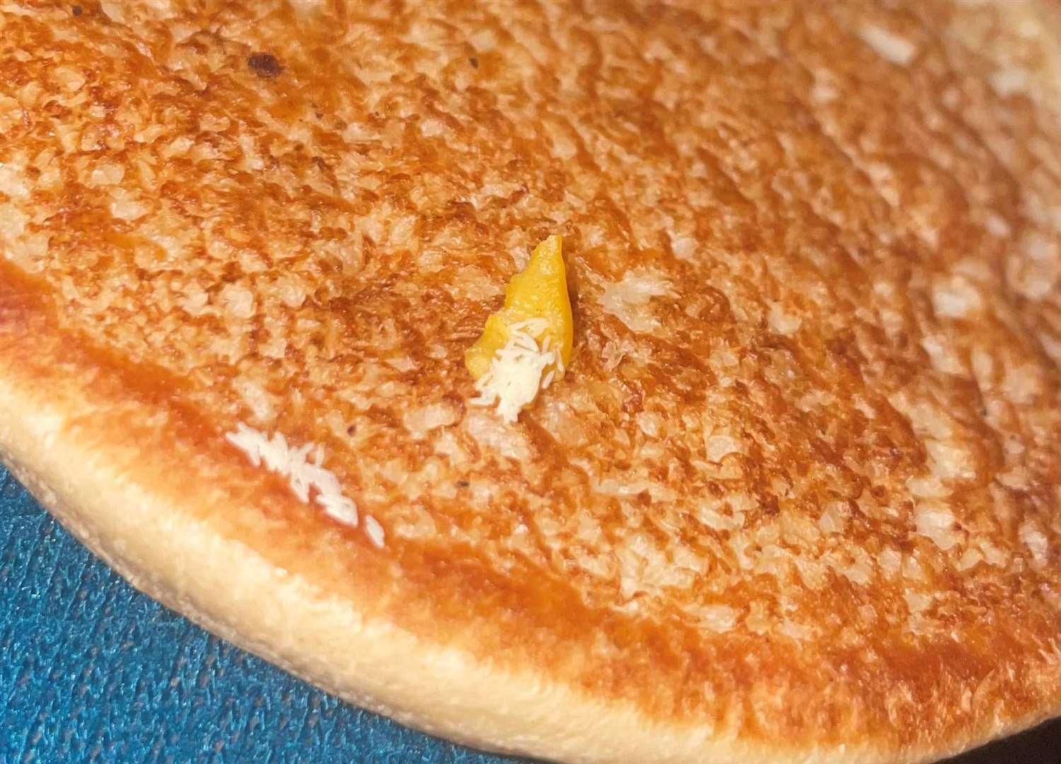 The fly eggs on the McDonald's burger. Picture: Dolly Barnes