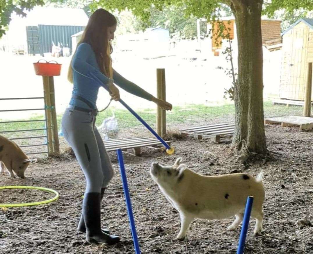 Millie has also been training pigs. Picture: Millie Clark