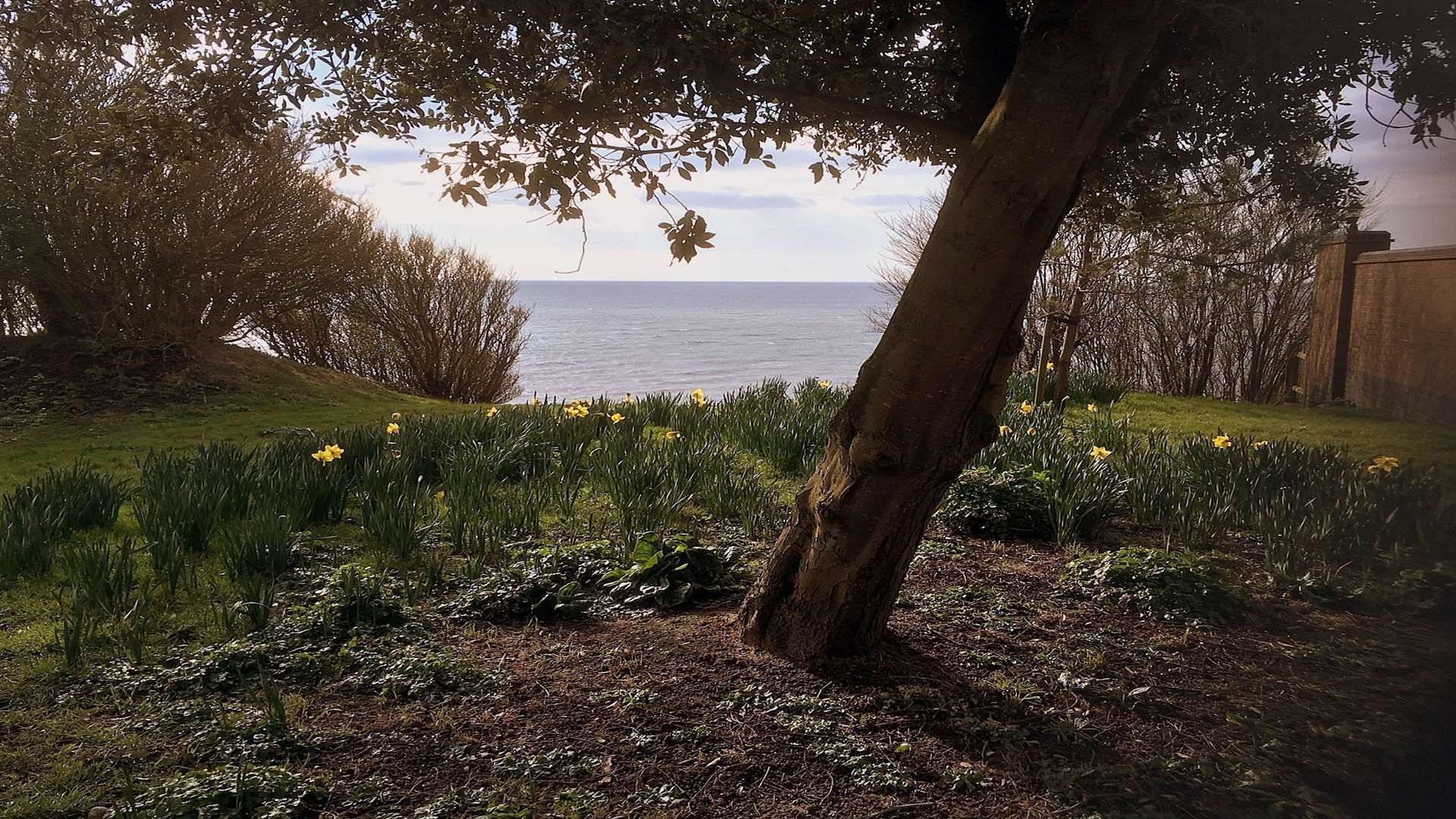 The area overlooking the Channel in Folkestone's Lower Leas Coastal Park, which will become a new memory garden