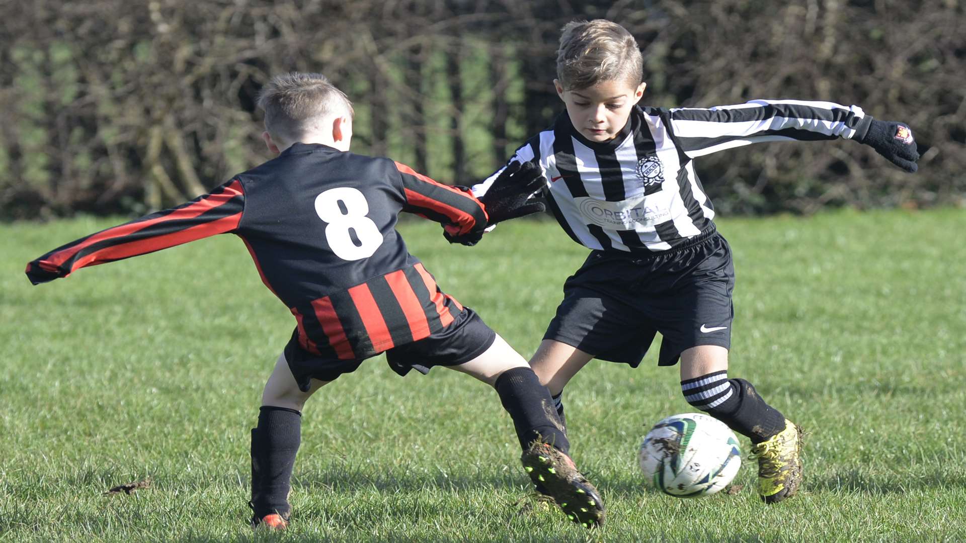 Under-7 sides Real 60 Lions (black and white) and Real 60 Wildcats contest possession Picture: Ruth Cuerden