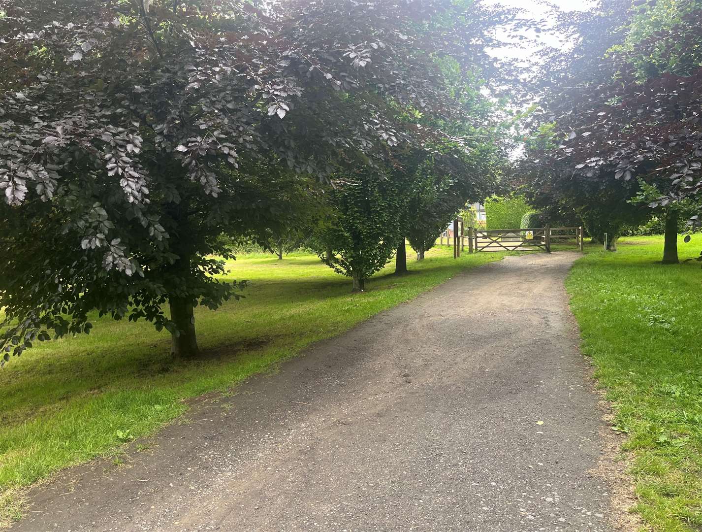 Bearsted Woodland Trust in Maidstone