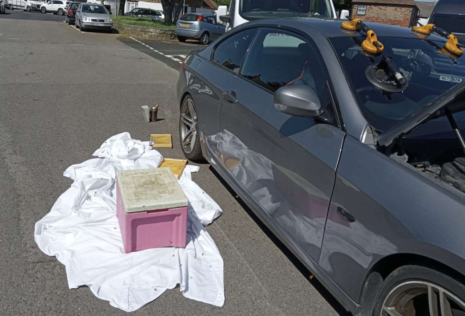 Beekeeper Peter Down carefully moved the bees into a mobile hive and brought them back to Marsh Apriaries in New Romney. Picture: Peter Down