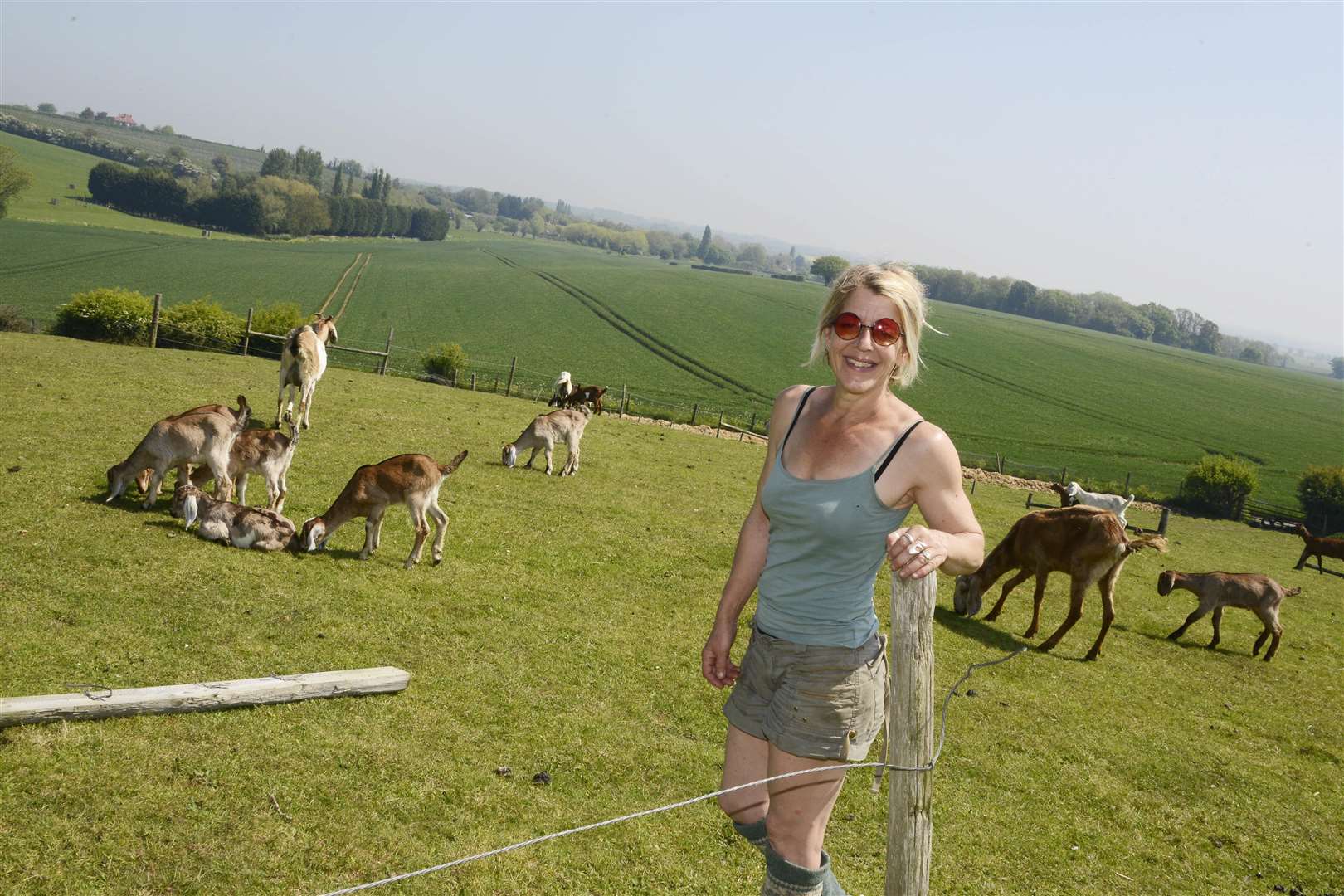 Hoatyh Sandy Meadows Goat Farm.Dawn Hacketts Sandy Meadows Farm ovelooking the Stunning Kent CountrysidePicture: Paul Amos (1883001)