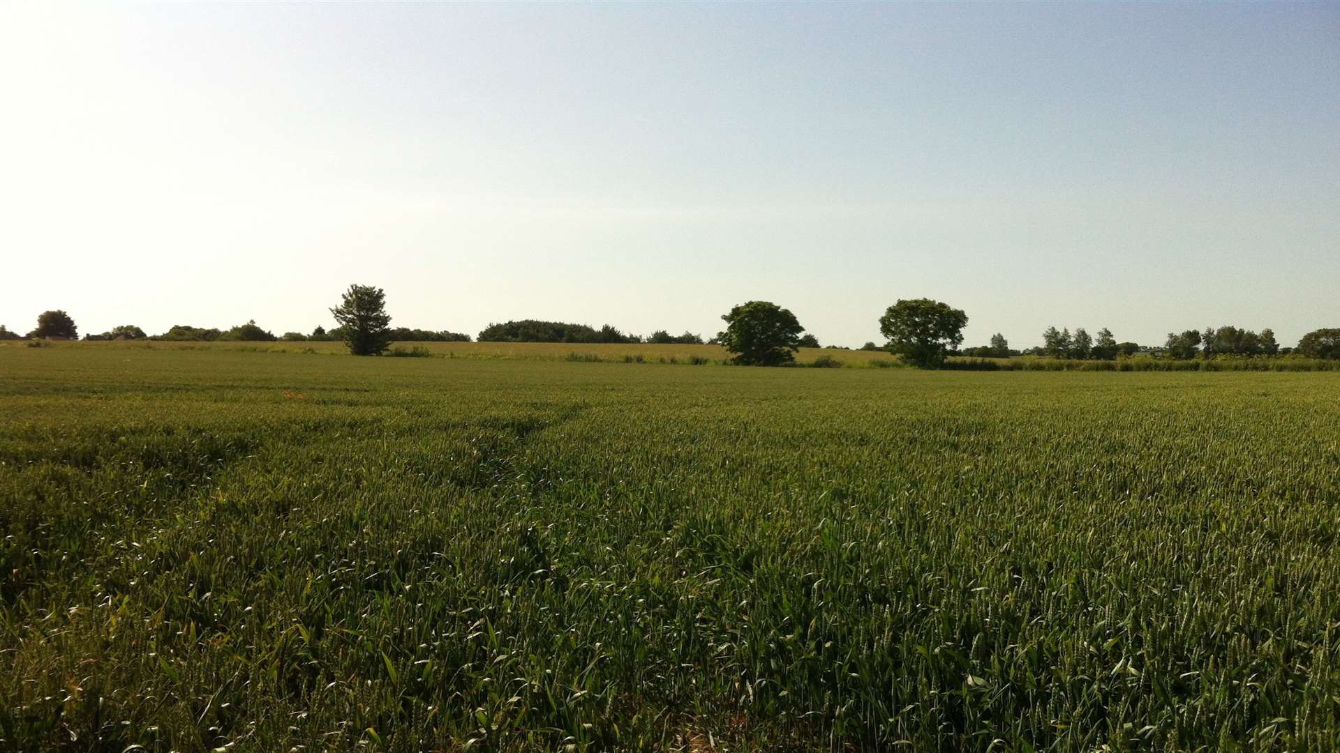 Perry Court Farm site, Faversham.