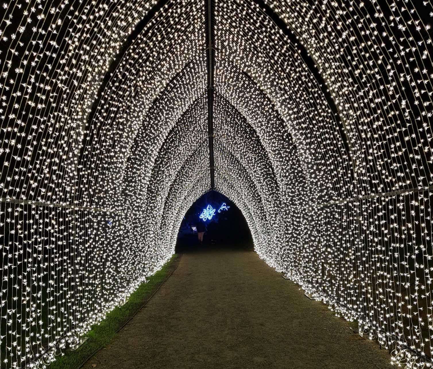 The cathedral of light is a long-lasting favourite at the event