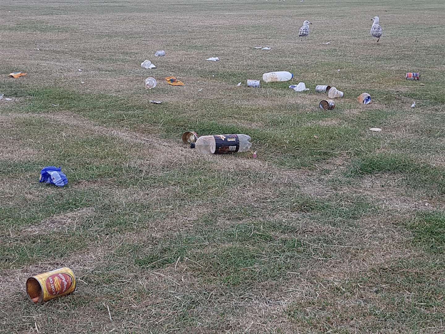 Rubbish left at Herne Bay's Memorial Park (2893426)