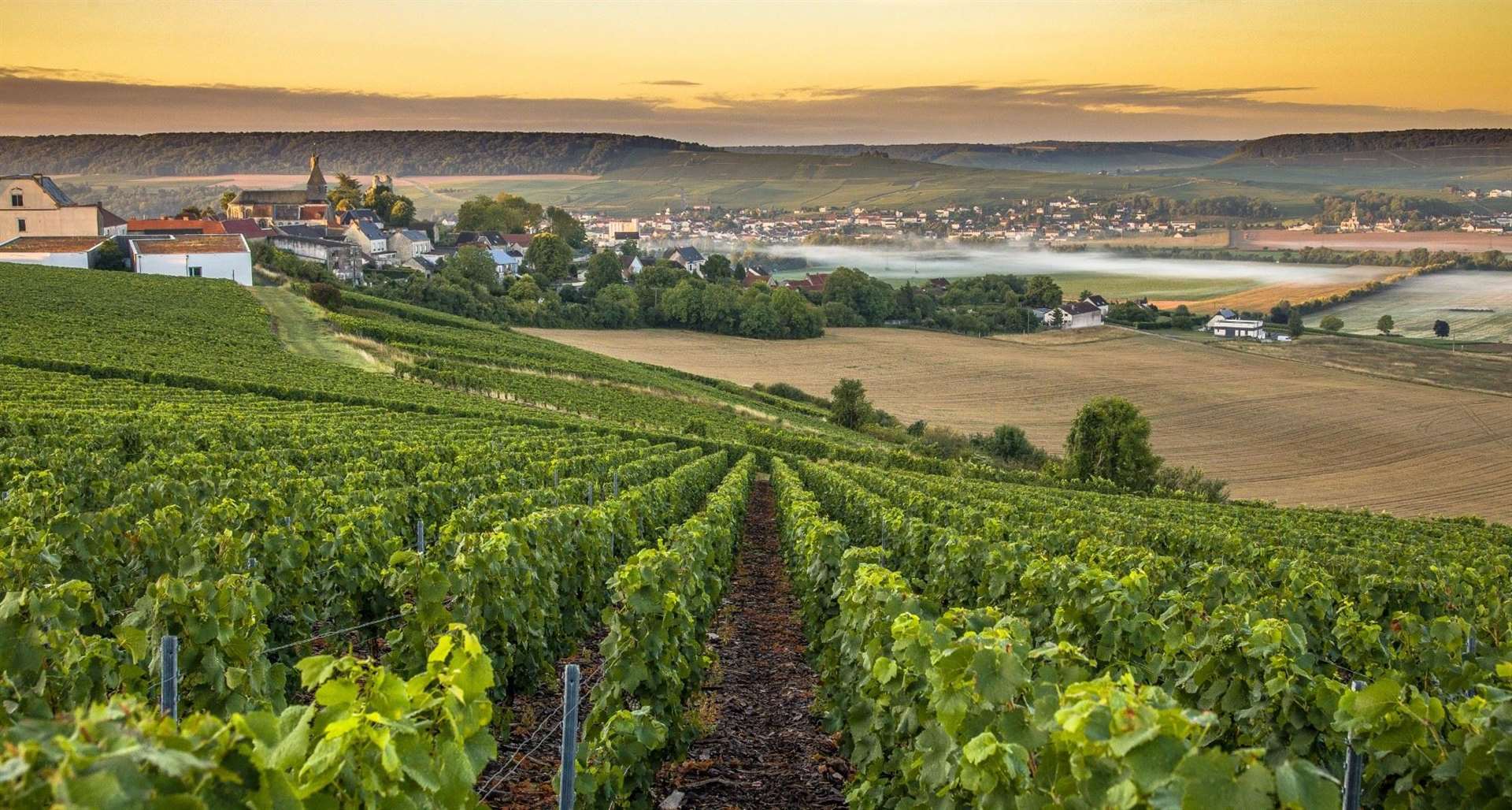 Found just outside of Paris, the popular region of Champagne produces what is widely regarded as the most renowned and recognisable wines in the world.