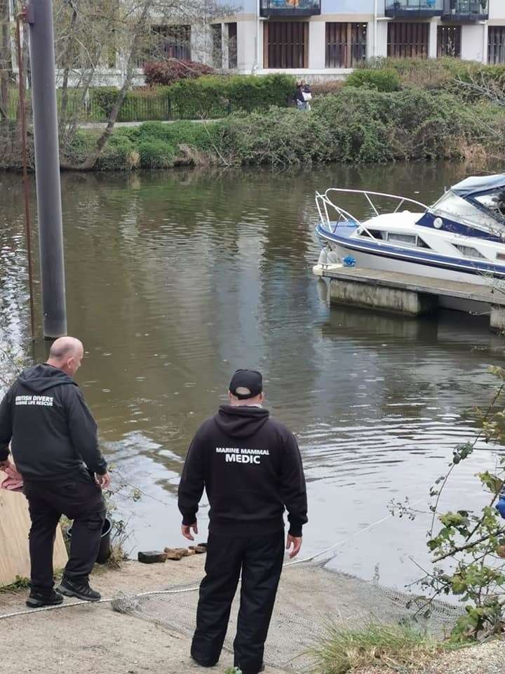 e River Medway in Maidstone. Picture Marica Brunger (46289380)