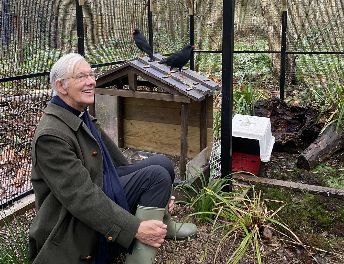 The Dean of Canterbury, The Very Reverend Dr Robert Willis, visiting young choughs at Wildwood Trust. Picture: Wildwood Trust