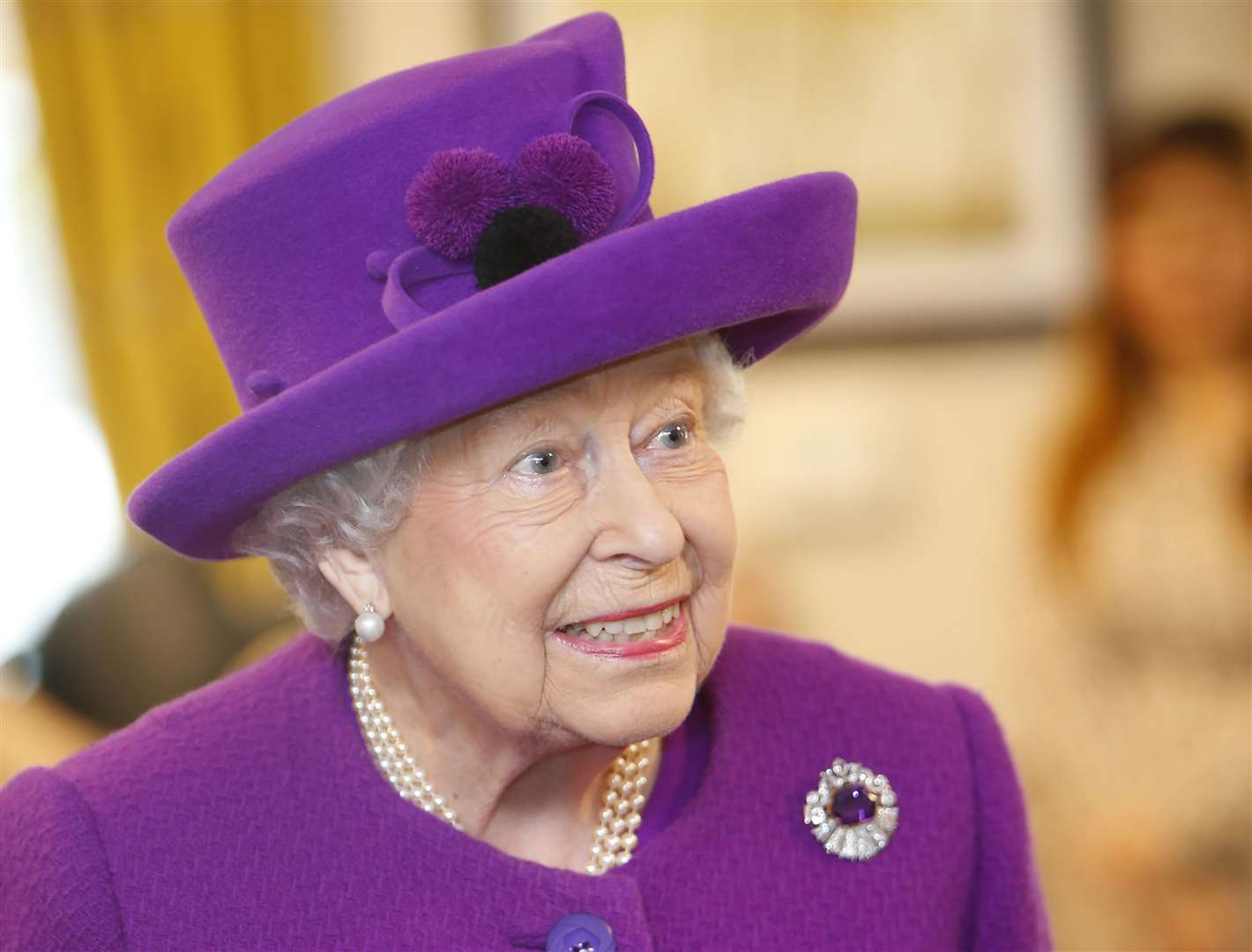 The Queen has given the gun salute royal approval Picture: Andy Jones