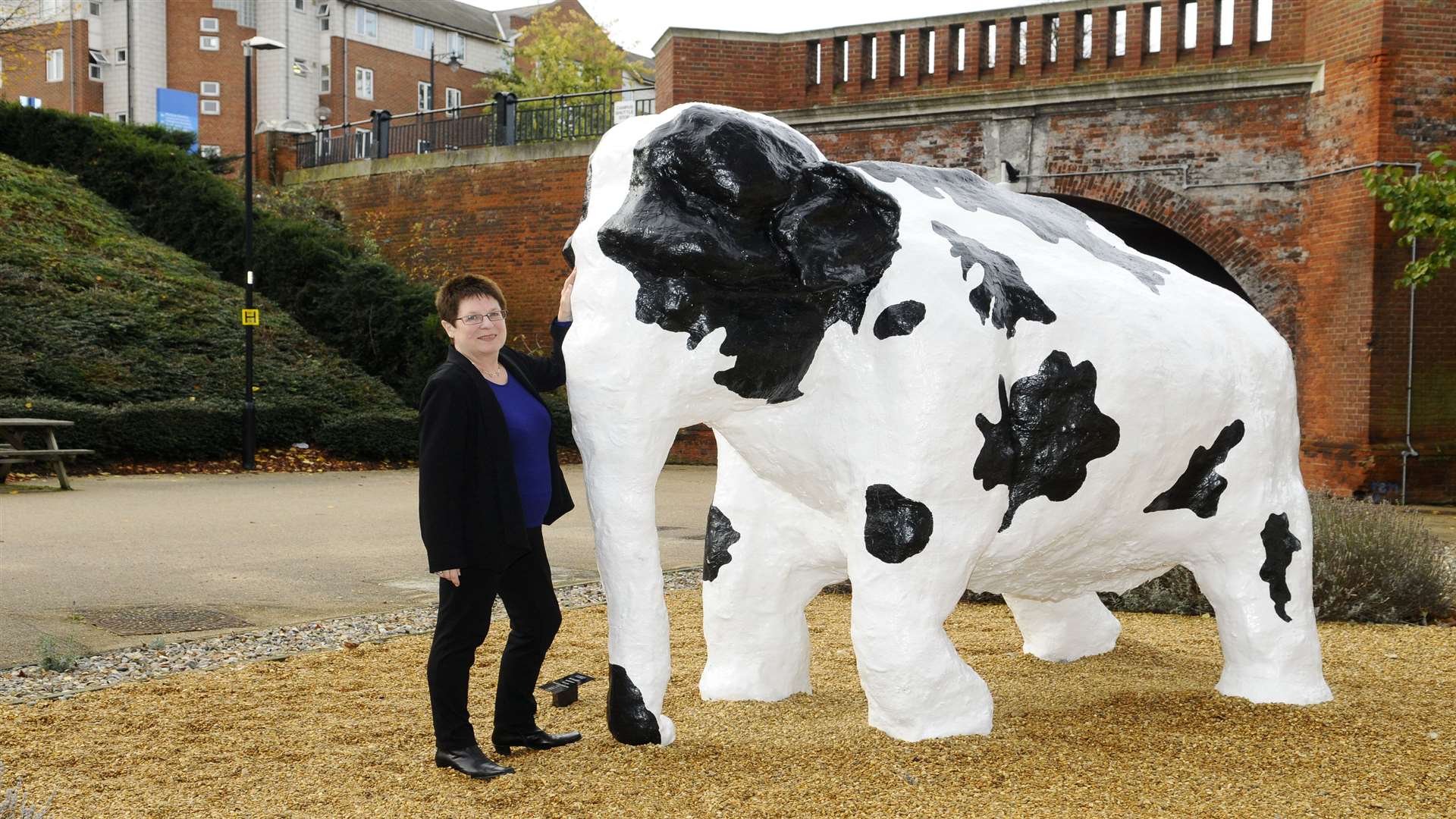 Prof Goodfellow at the university's Medway campus.