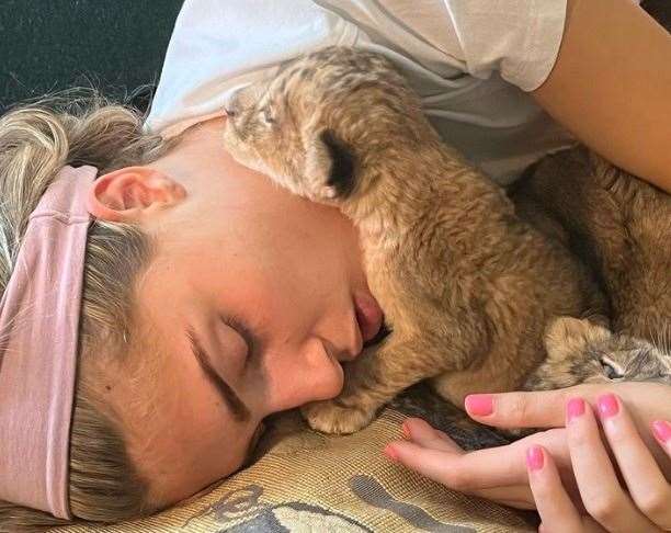 The lion cubs are being hand-reared. Picture: Damian Aspinall / Instagram