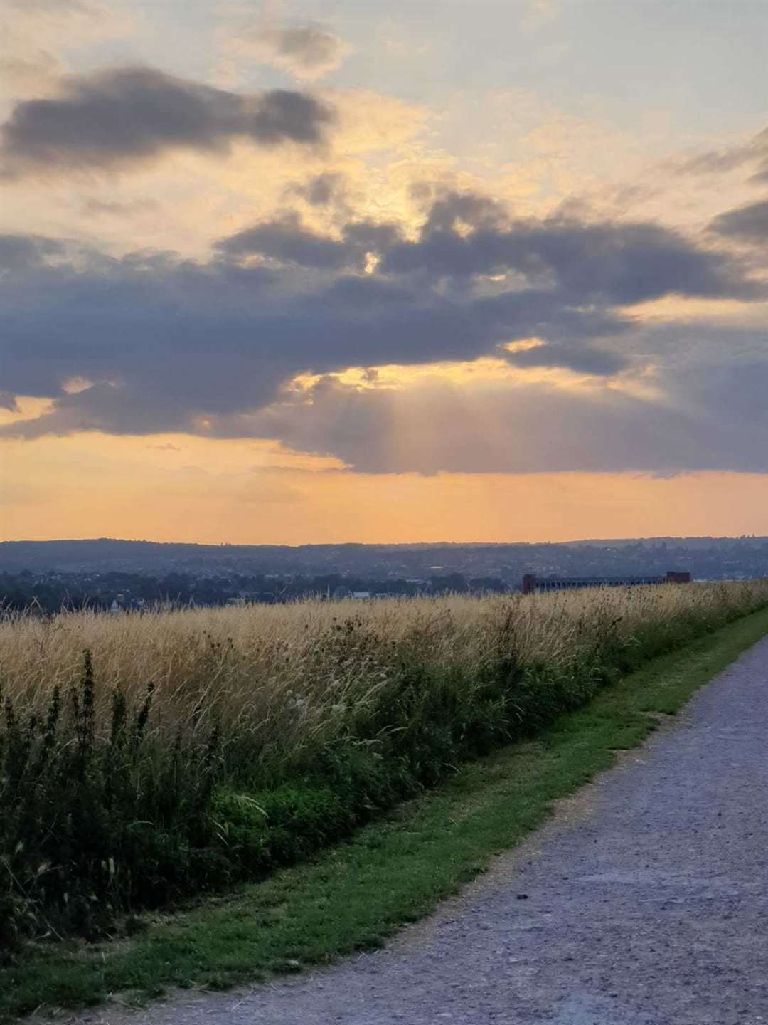 Scenery in Medway. Picture: Devi Ashok