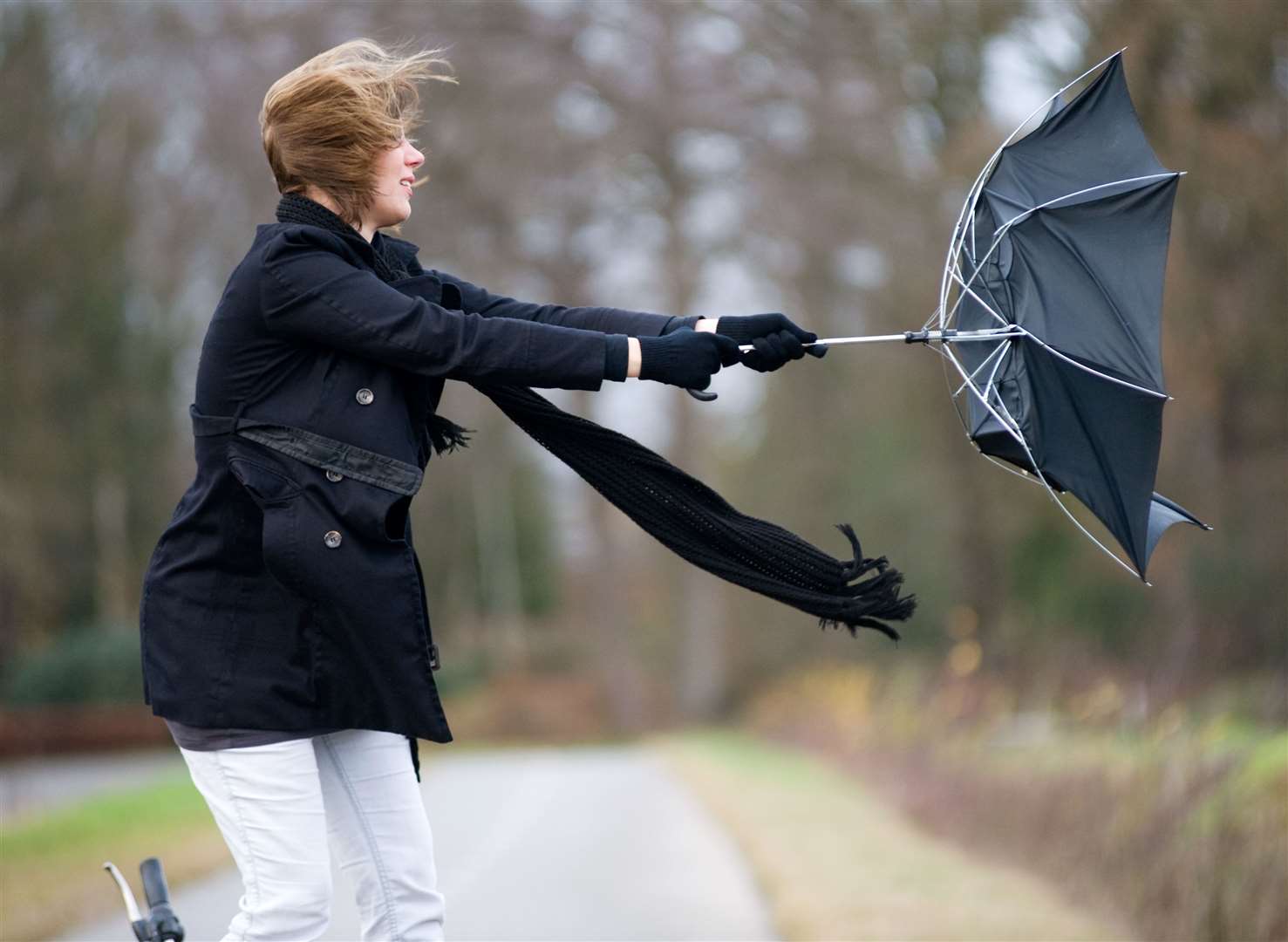 Strong winds are predicted