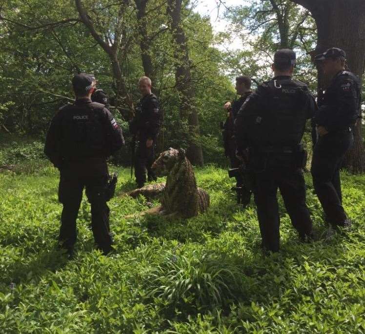 Armed police surround the tiger sculpture which caused the drama. Picture: @marthasimpson