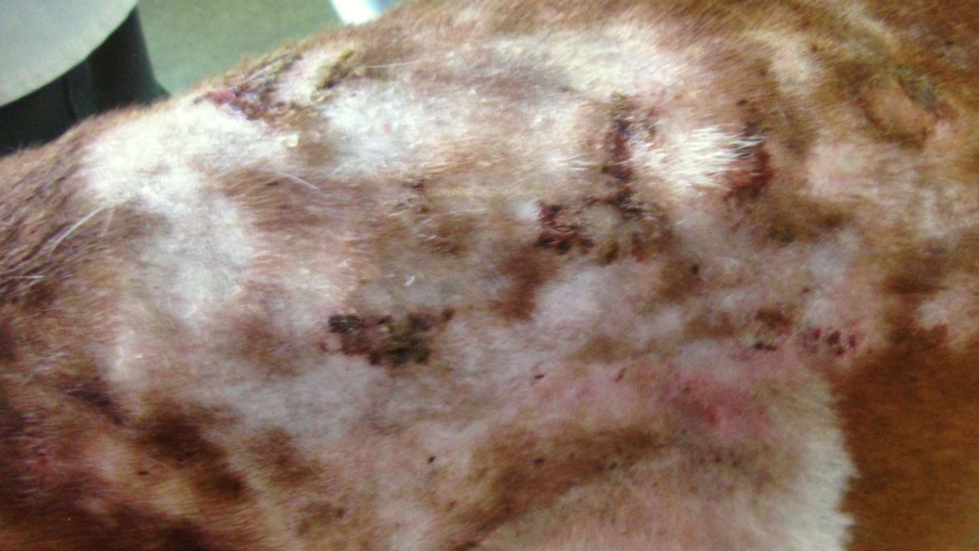 Titan's bad skin condition