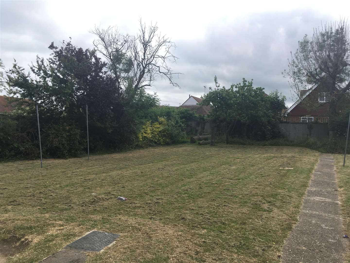 The garden to the rear of the blocks of flats in Canterbury Road is said to be infested as well (2631930)