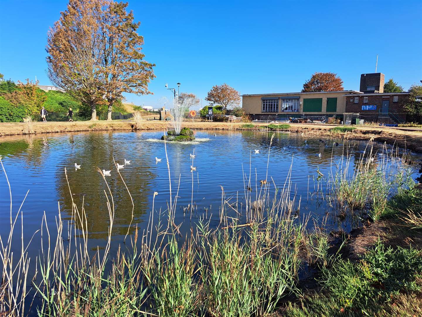 The park and lake at Riverside Leisure Area, Gravesend