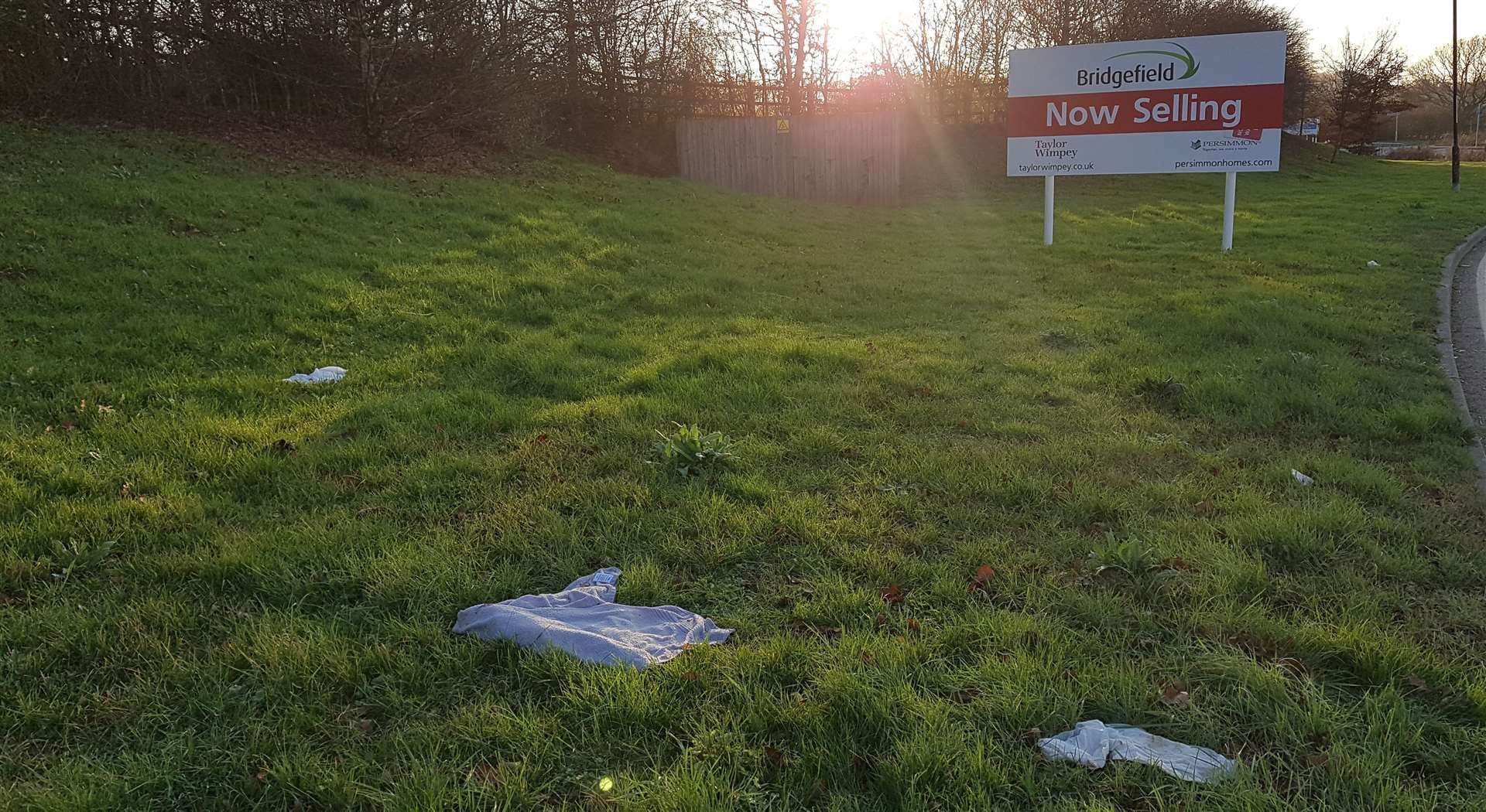 A towel and a t-shirt are among items discarded on a verge