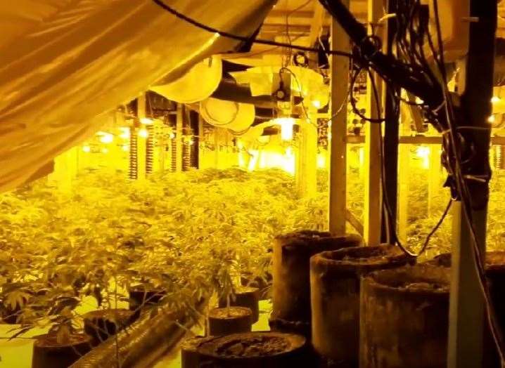 A cannabis farm was found inside a five-bedroom property in Hoo. Picture: Stock