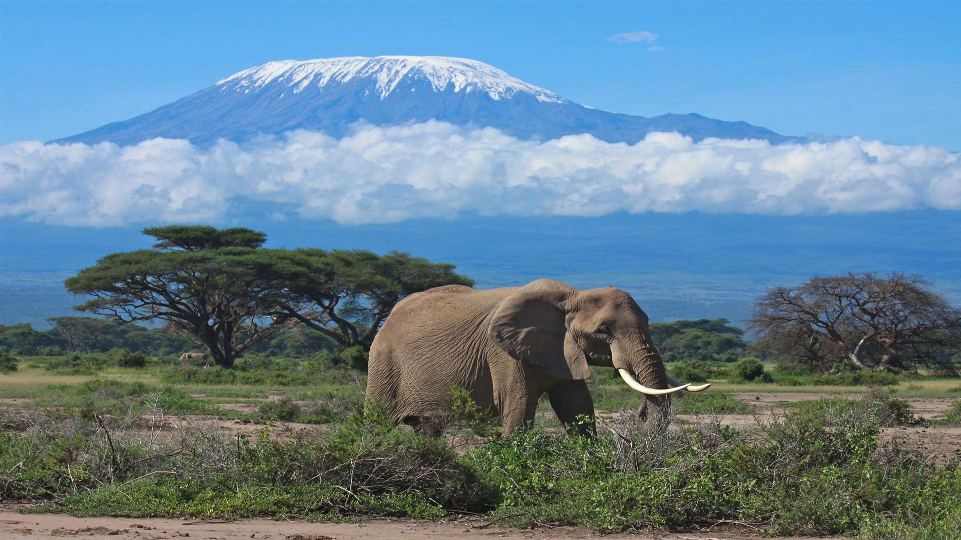 Mount Kilimanjaro in Kenya