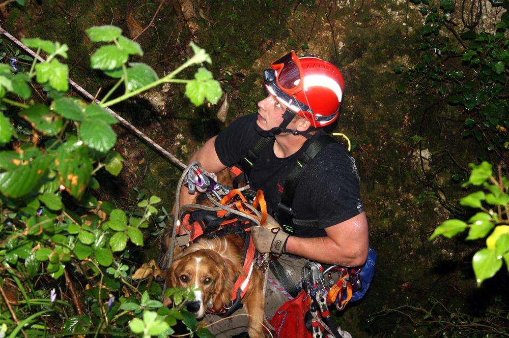 Brody is brought to the surface by a firefighter