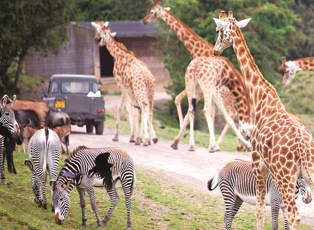 Port Lympne, near Hythe