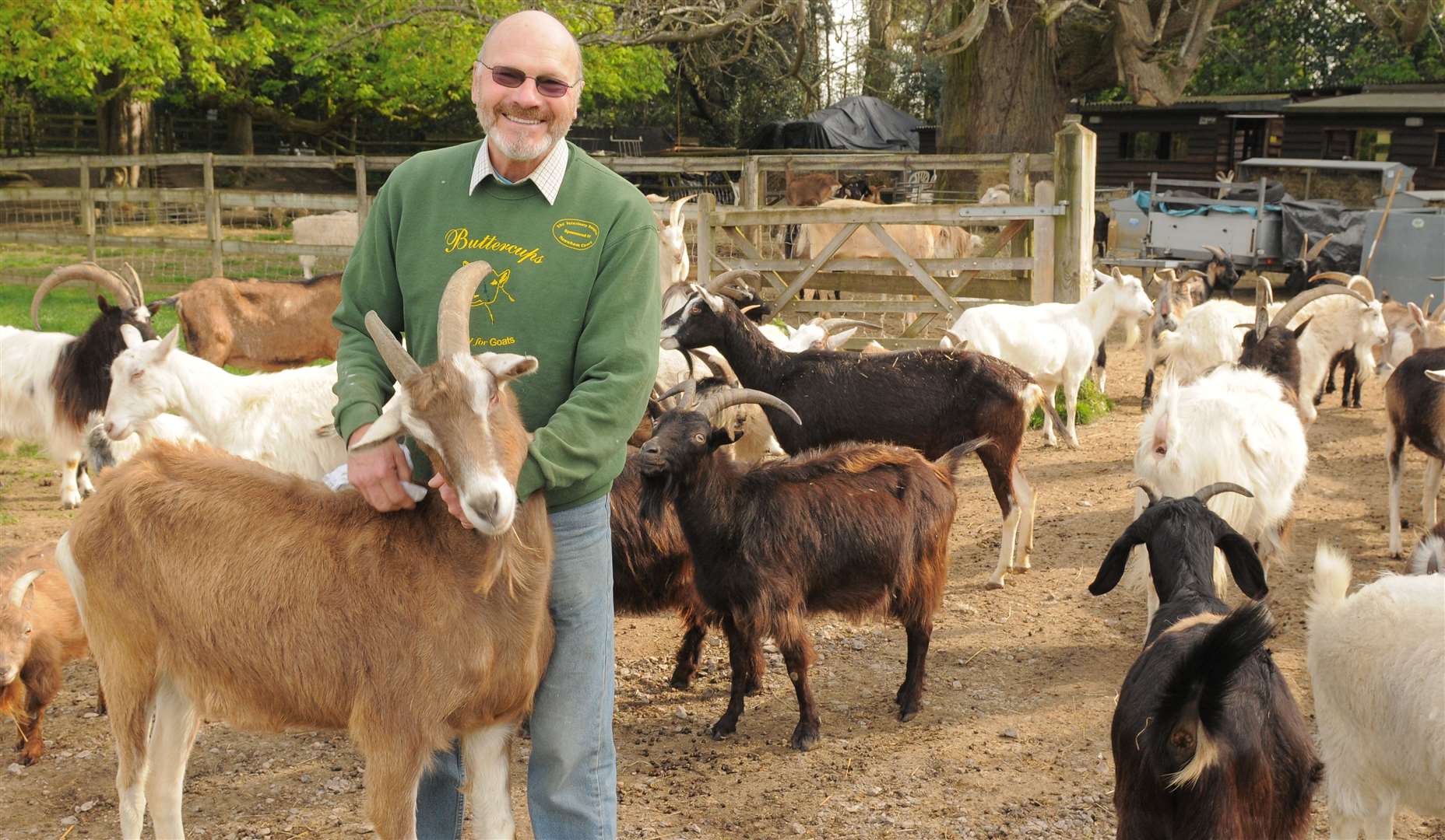 Bob Hitch with his goats. Picture: Steve Crispe