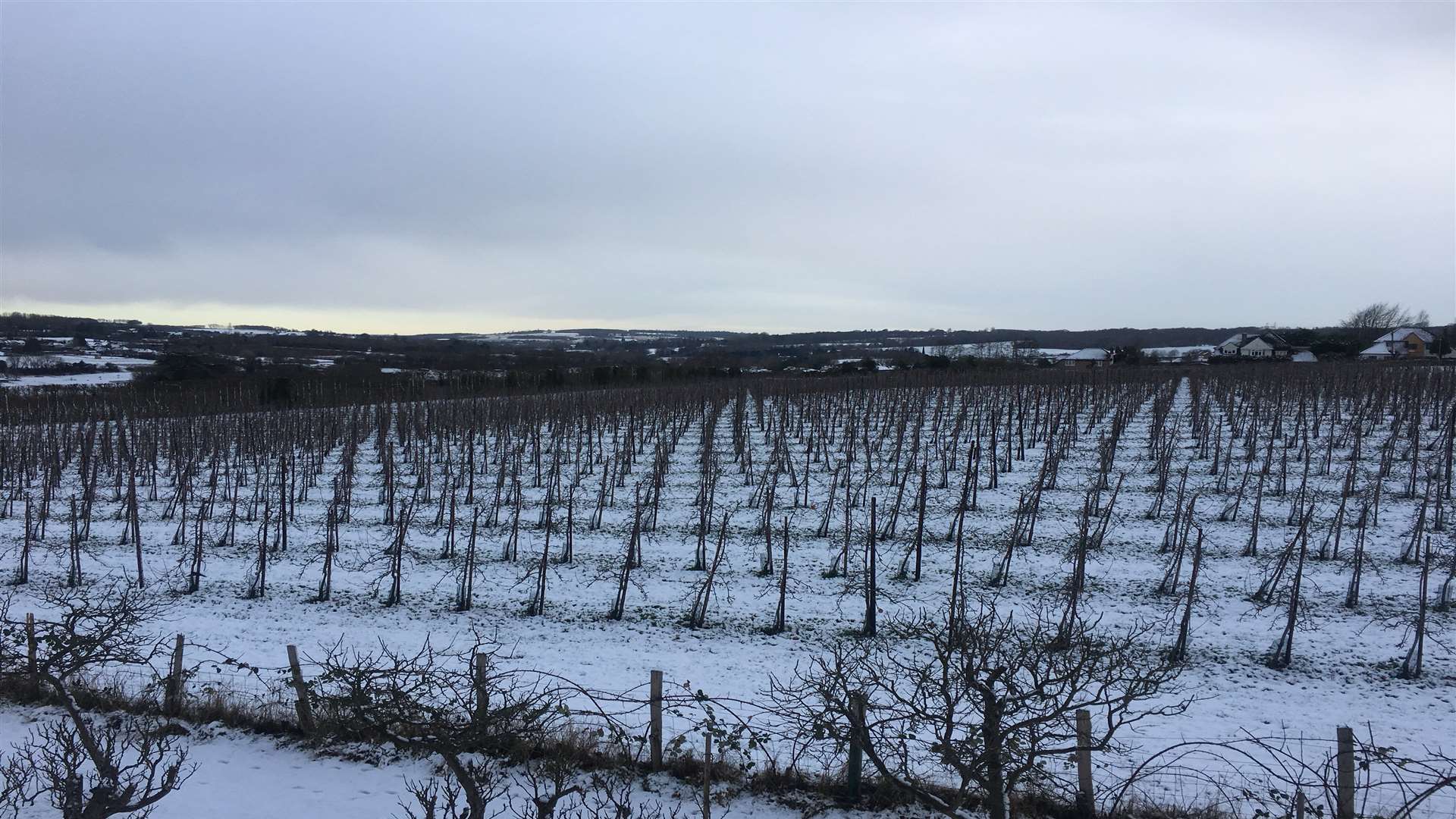 Snow looking over West Farleigh and Teston last month