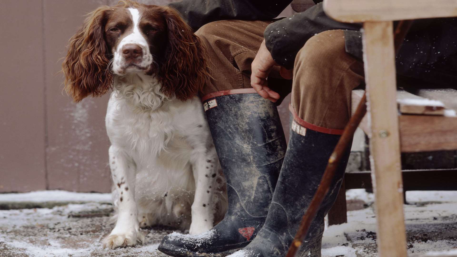 Picture: National Trust, Nadia Mackenzie