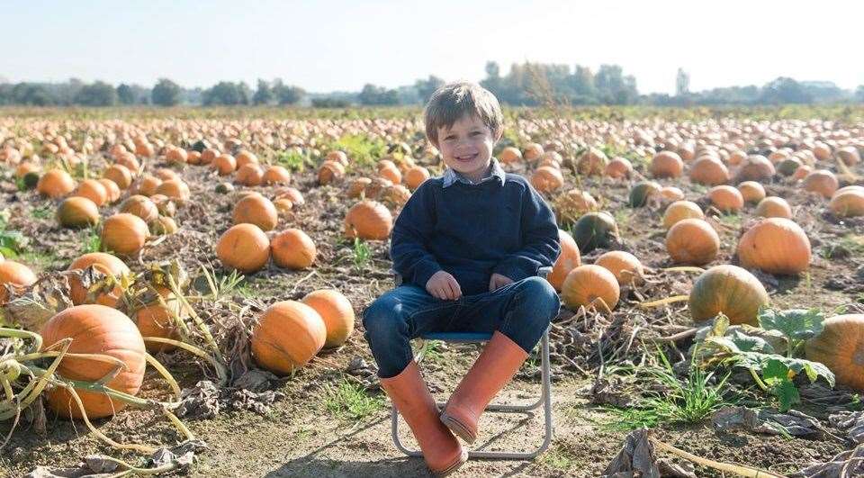 Have you got your pumpkins sorted for Halloween? If not, head to Sevington and make it a great day out!