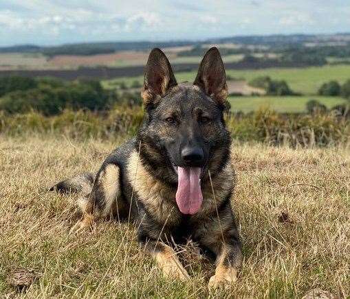 PD Yankee tracked the driver down. Picture: @KPTacOps