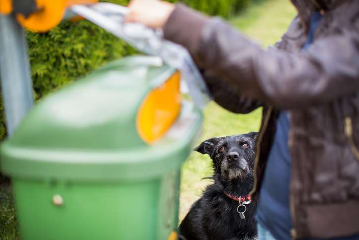 The dog DNA scheme will not be implemented permanently. Picture: GettyImages