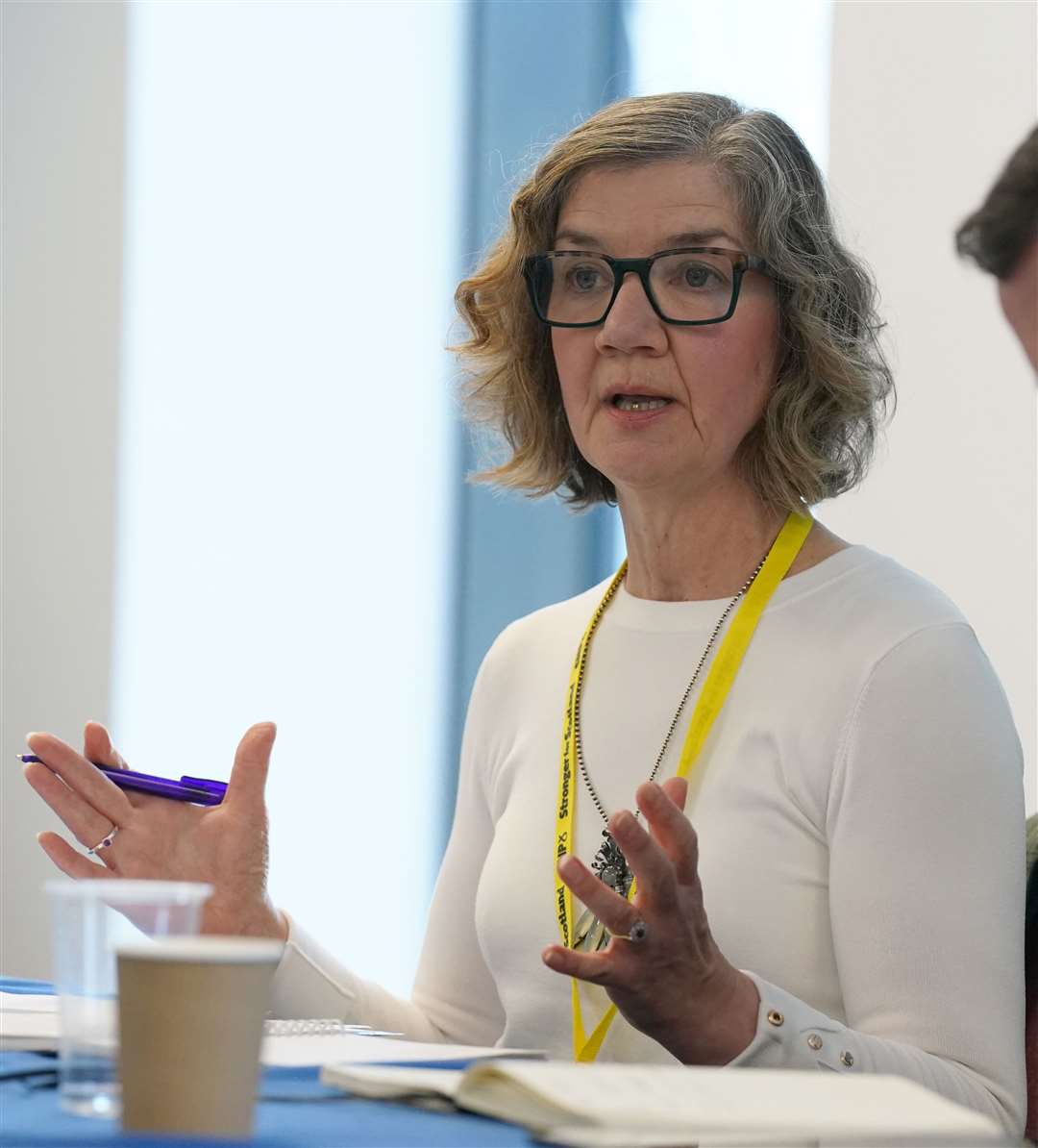 Audrey Nicoll currently holds the seat (Andrew Milligan/PA)