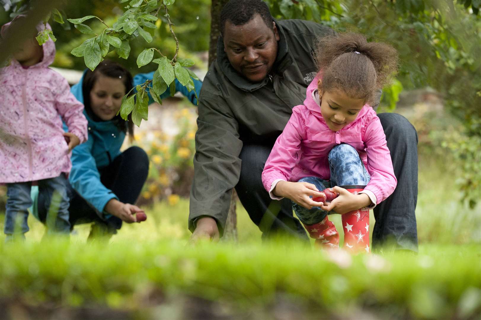 Family collecting apples in the garden at Bateman's, East Sussex. Picture: National Trust Images/John Millar